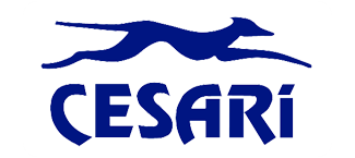 cesari-logo-com-sua-escrita-em-azul.png